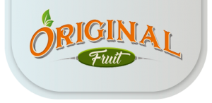 logo-02-v2